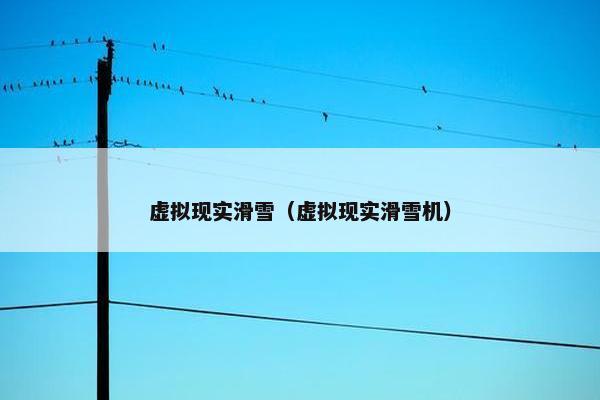 虚拟现实滑雪（虚拟现实滑雪机）