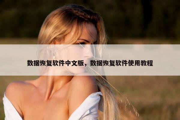 数据恢复软件中文版，数据恢复软件使用教程