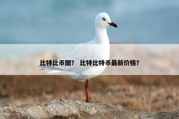 比特比币图？ 比特比特币最新价格？
