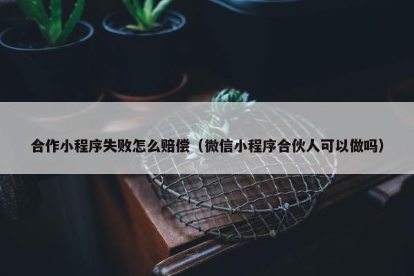 合作小程序失败怎么赔偿（微信小程序合伙人可以做吗）