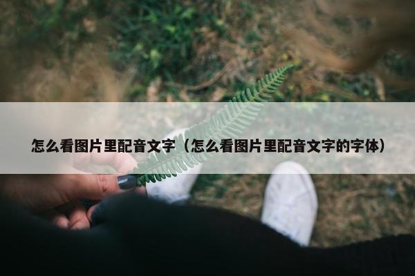 怎么看图片里配音文字（怎么看图片里配音文字的字体）