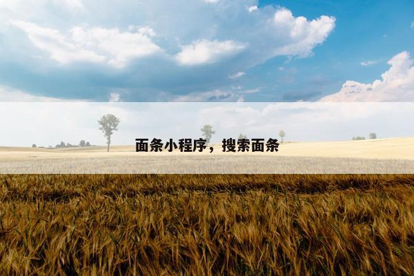 面条小程序，搜索面条