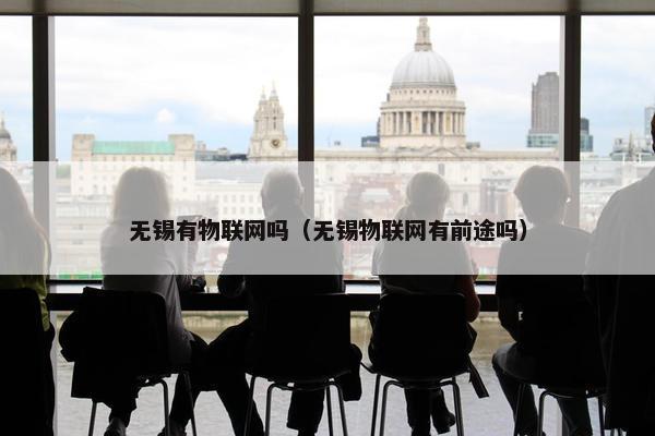 无锡有物联网吗（无锡物联网有前途吗）
