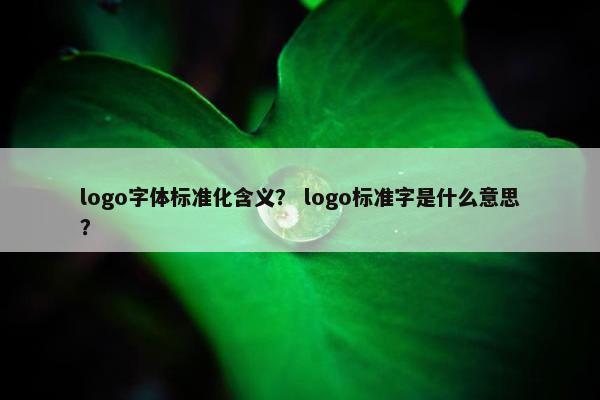 logo字体标准化含义？ logo标准字是什么意思？