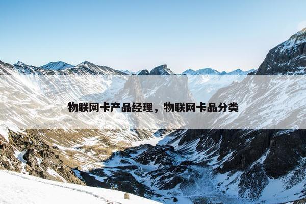 物联网卡产品经理，物联网卡品分类