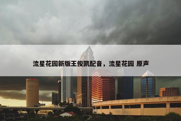 流星花园新版王俊凯配音，流星花园 原声