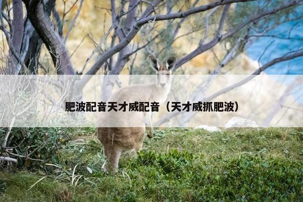 肥波配音天才威配音（天才威抓肥波）