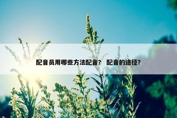 配音员用哪些方法配音？ 配音的途径？