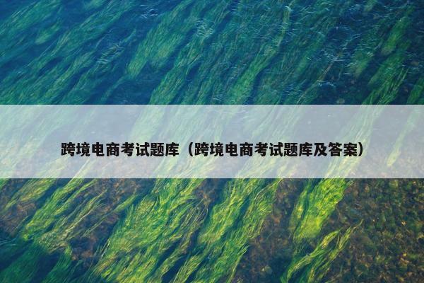 跨境电商考试题库（跨境电商考试题库及答案）