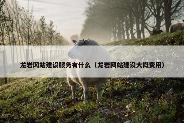 龙岩网站建设服务有什么（龙岩网站建设大概费用）