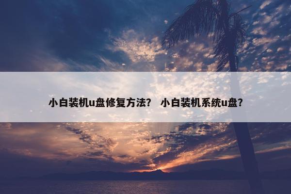 小白装机u盘修复方法？ 小白装机系统u盘？