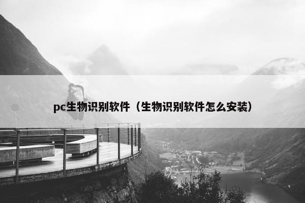 pc生物识别软件（生物识别软件怎么安装）