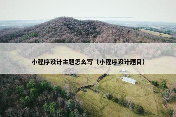 小程序设计主题怎么写（小程序设计题目）