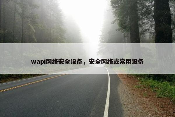 wapi网络安全设备，安全网络或常用设备