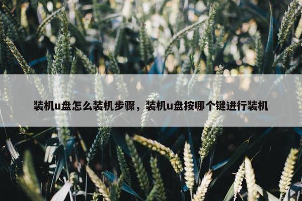 装机u盘怎么装机步骤，装机u盘按哪个键进行装机