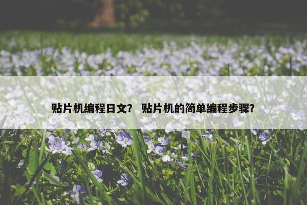 贴片机编程日文？ 贴片机的简单编程步骤？
