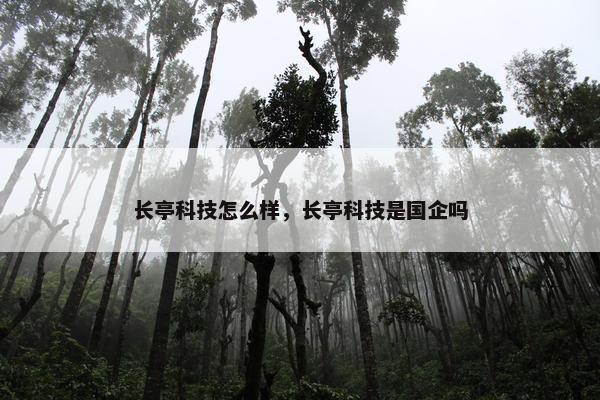 长亭科技怎么样，长亭科技是国企吗