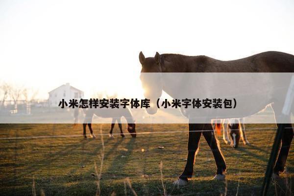 小米怎样安装字体库（小米字体安装包）