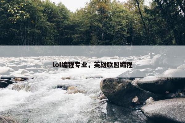 lol编程专业，英雄联盟编程