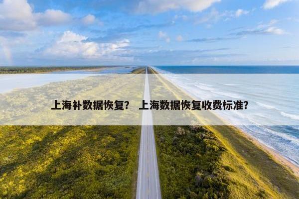 上海补数据恢复？ 上海数据恢复收费标准？