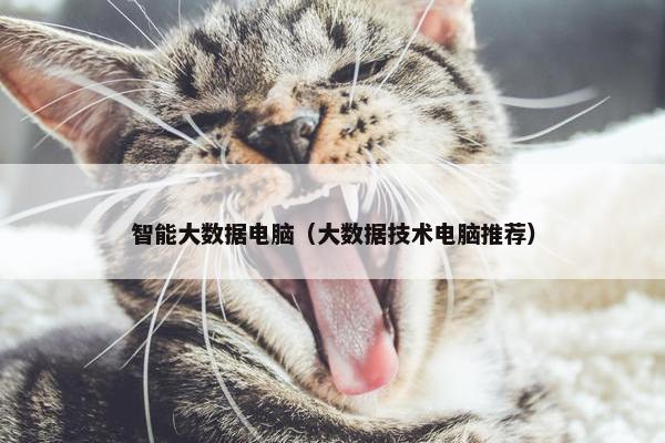 智能大数据电脑（大数据技术电脑推荐）