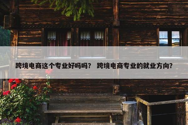 跨境电商这个专业好吗吗？ 跨境电商专业的就业方向？