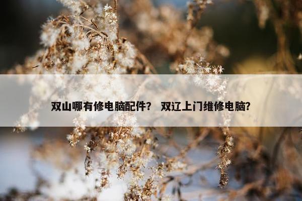 双山哪有修电脑配件？ 双辽上门维修电脑？