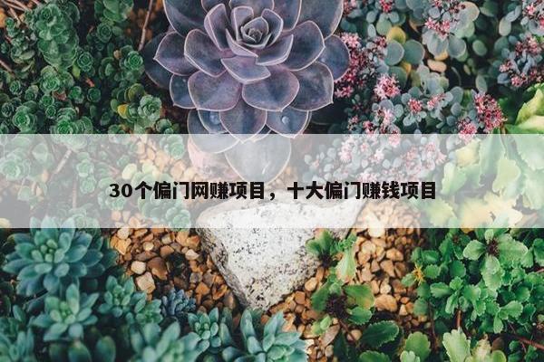 30个偏门网赚项目，十大偏门赚钱项目