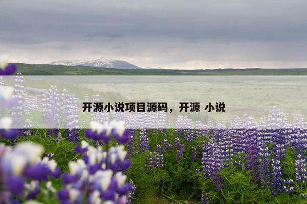 开源小说项目源码，开源 小说