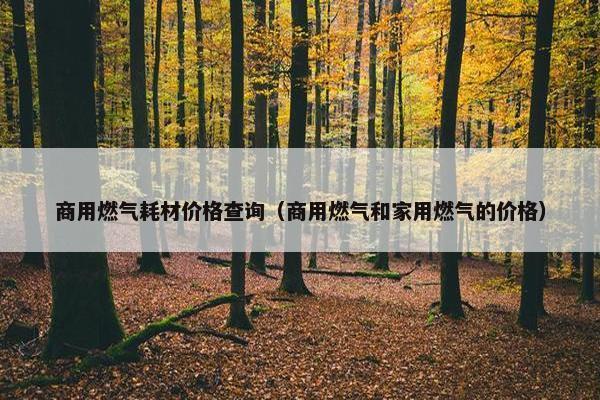 商用燃气耗材价格查询（商用燃气和家用燃气的价格）