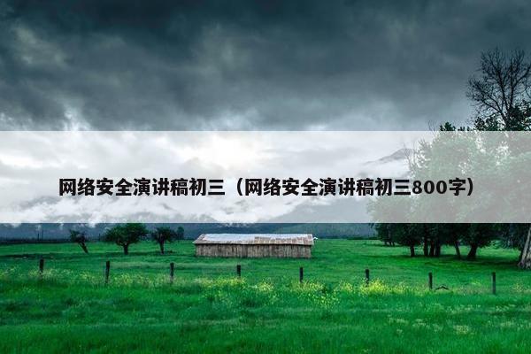 网络安全演讲稿初三（网络安全演讲稿初三800字）