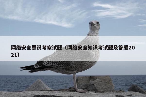 网络安全意识考察试题（网络安全知识考试题及答题2021）