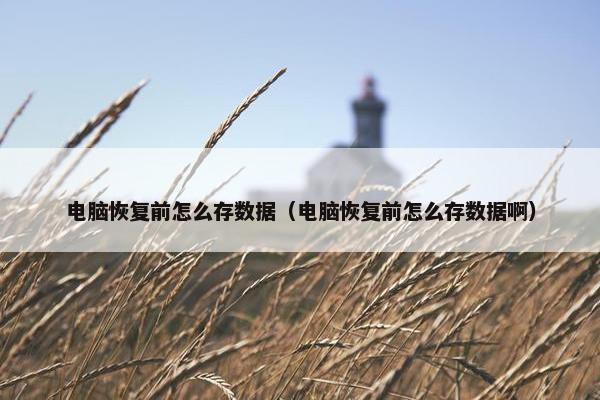 电脑恢复前怎么存数据（电脑恢复前怎么存数据啊）