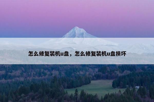 怎么修复装机u盘，怎么修复装机u盘损坏