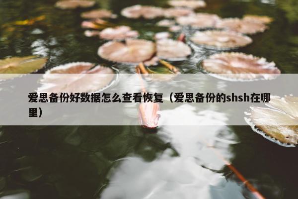 爱思备份好数据怎么查看恢复（爱思备份的shsh在哪里）