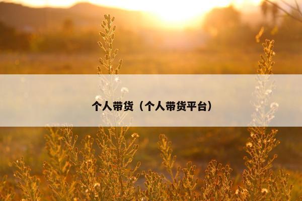 个人带货（个人带货平台）