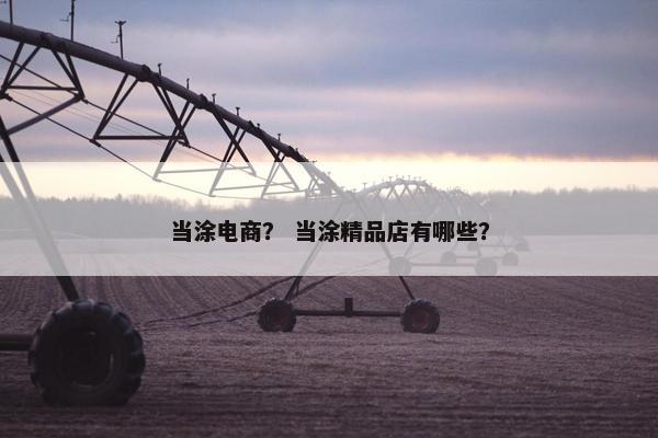 当涂电商？ 当涂精品店有哪些？