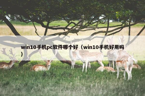 win10手机pc软件哪个好（win10手机好用吗）