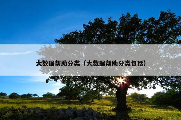 大数据帮助分类（大数据帮助分类包括）