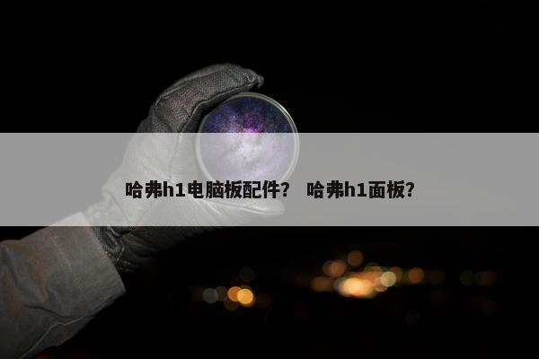 哈弗h1电脑板配件？ 哈弗h1面板？