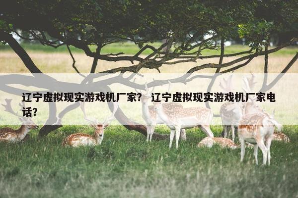 辽宁虚拟现实游戏机厂家？ 辽宁虚拟现实游戏机厂家电话？
