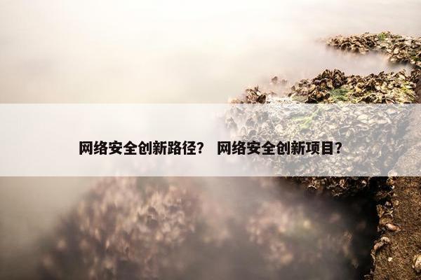 网络安全创新路径？ 网络安全创新项目？
