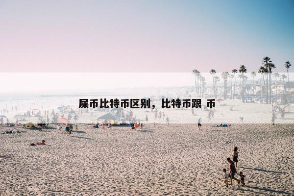 屎币比特币区别，比特币跟 币