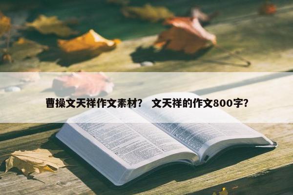 曹操文天祥作文素材？ 文天祥的作文800字？