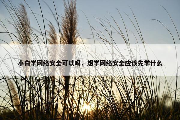 小白学网络安全可以吗，想学网络安全应该先学什么