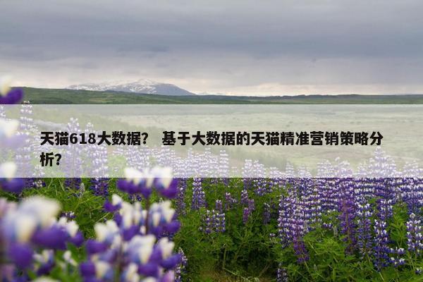 天猫618大数据？ 基于大数据的天猫精准营销策略分析？