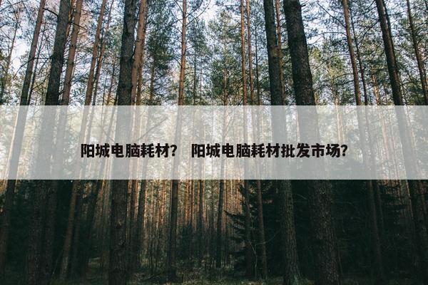 阳城电脑耗材？ 阳城电脑耗材批发市场？