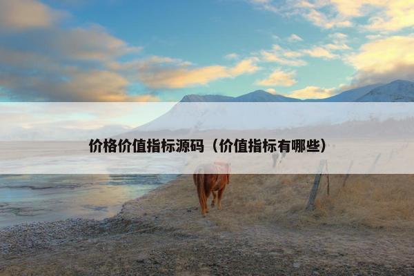 价格价值指标源码（价值指标有哪些）