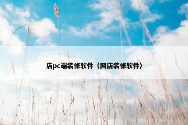 店pc端装修软件（网店装修软件）