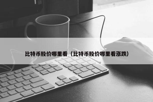 比特币股价哪里看（比特币股价哪里看涨跌）